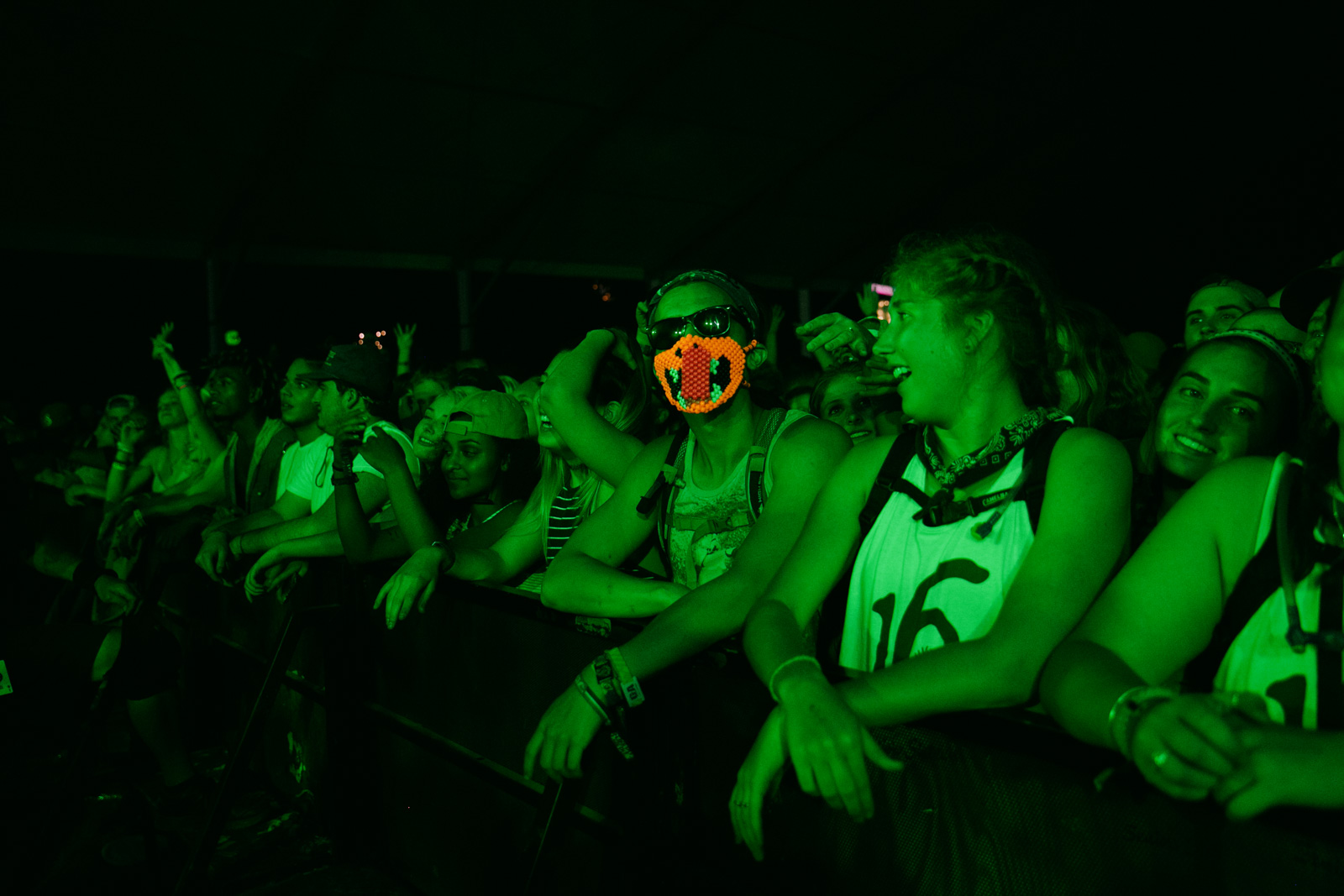 Crowd — Bonnaroo, 2016