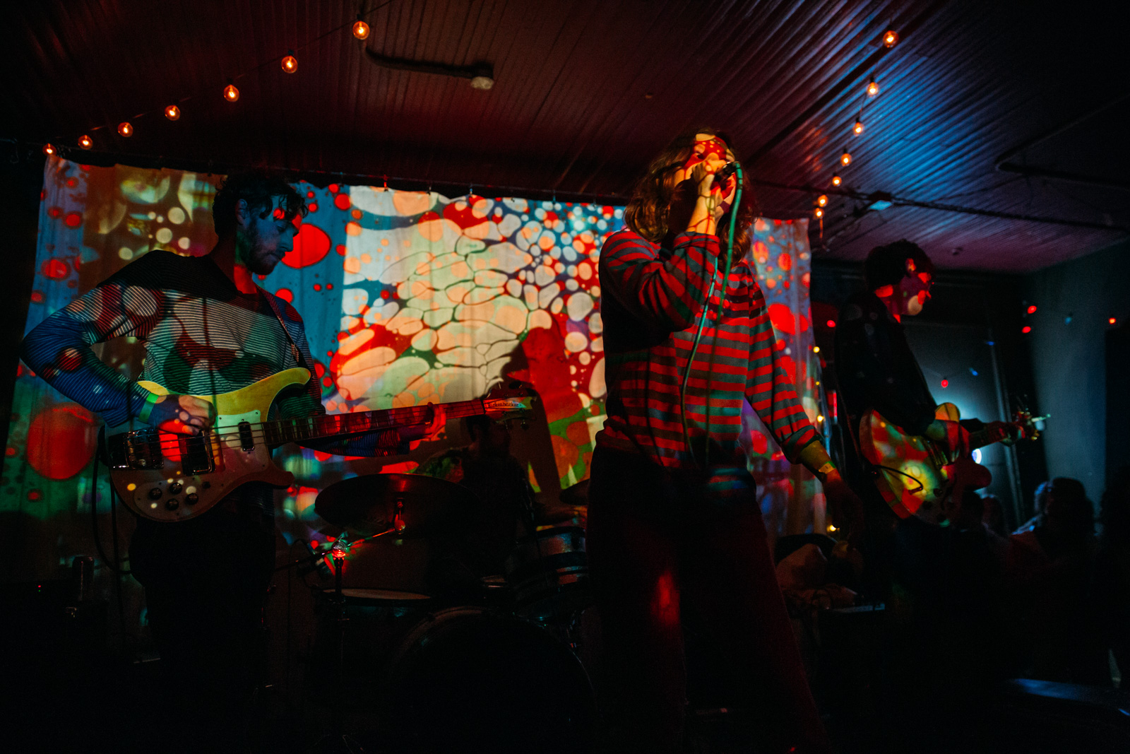 TWEN — Cobra, 2018